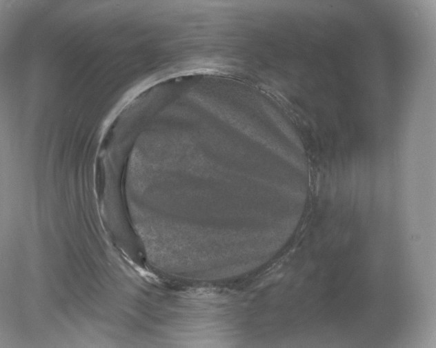 X0000078870244200612042005