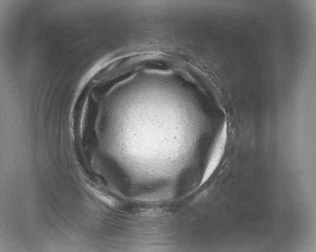 X0000078870246200612042005