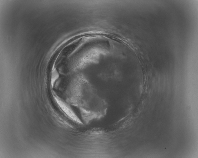 X0000078870247200612042005