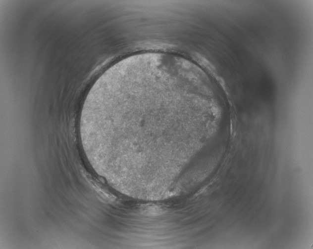 X0000078870249200612042005