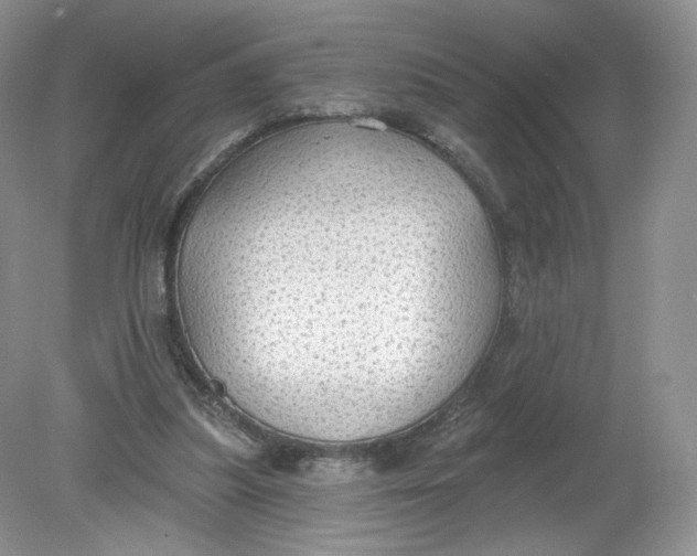 X0000078870251200612042005