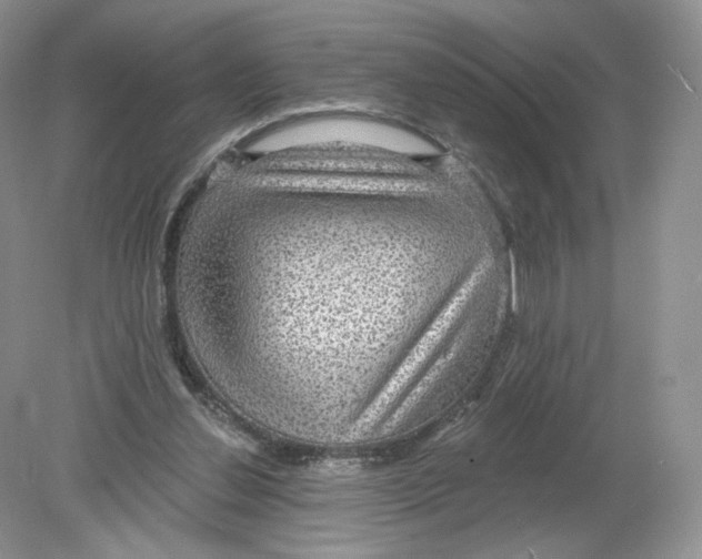 X0000078870252200612042005