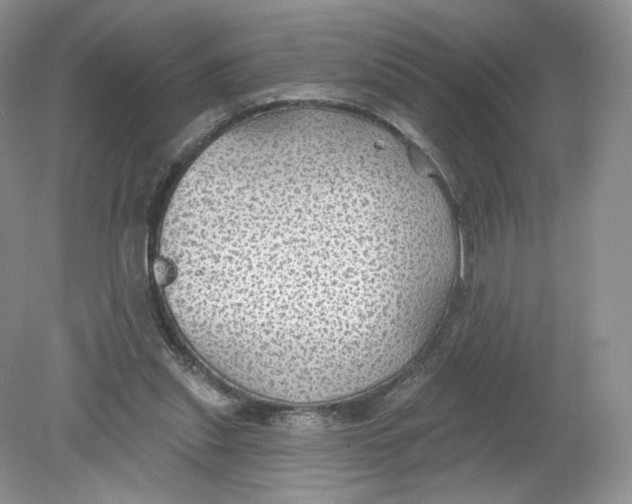 X0000078870253200612042005