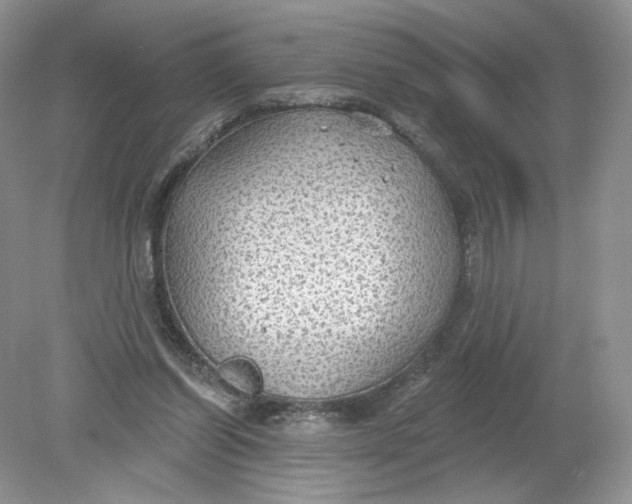 X0000078870254200612042005