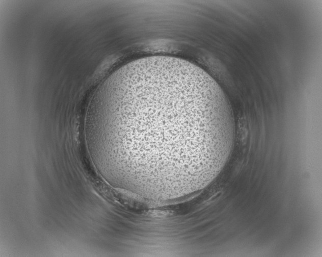 X0000078870255200612042005