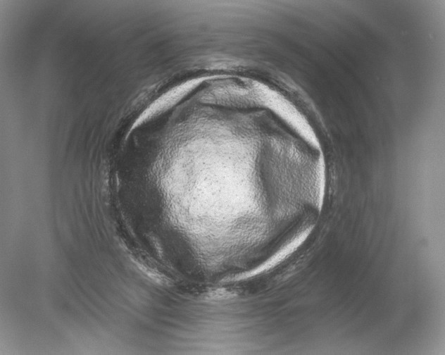 X0000078870257200612042005