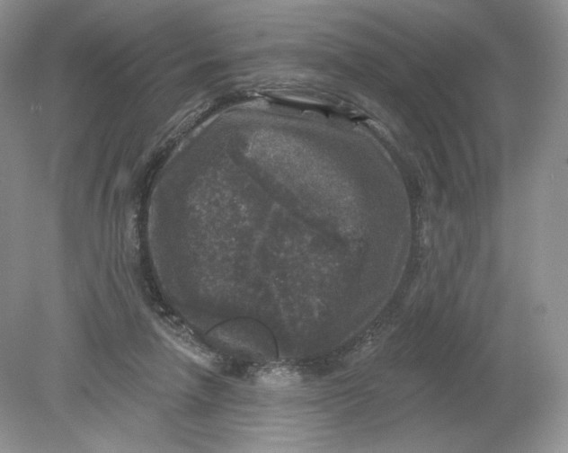 X0000078870258200612042006