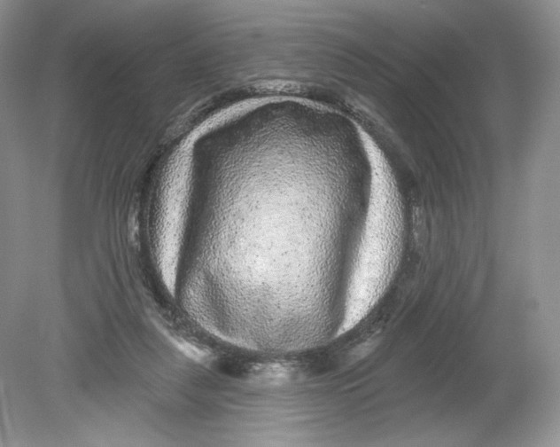 X0000078870259200612042006