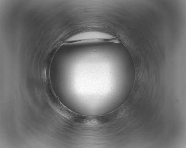 X0000078870262200612042006