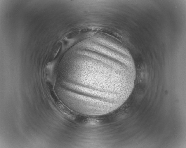 X0000078870263200612042006