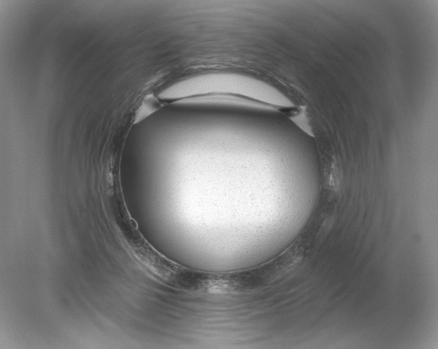 X0000078870264200612042006