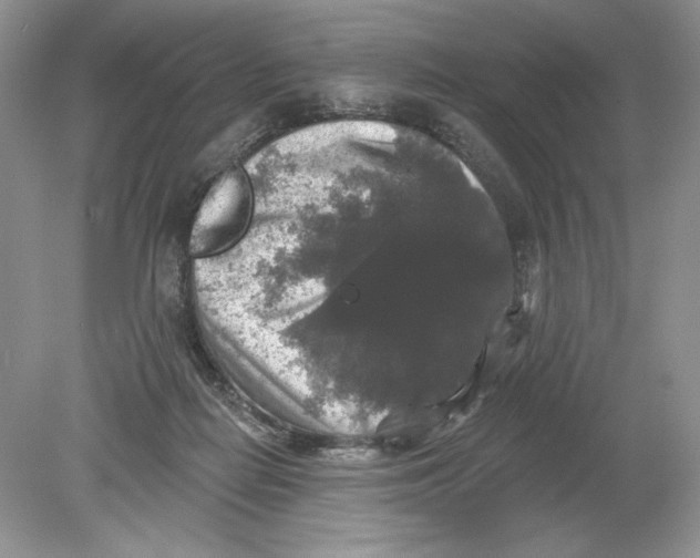 X0000078870266200612042006