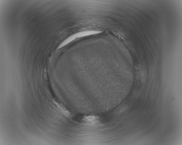 X0000078870269200612042006