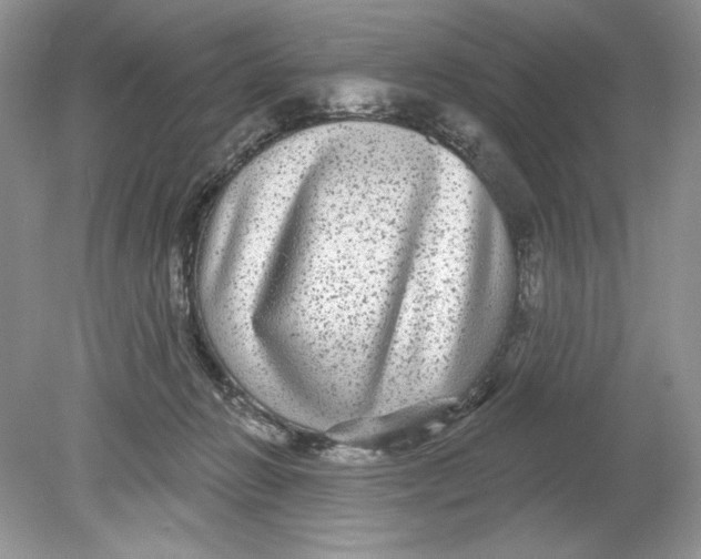 X0000078870270200612042006