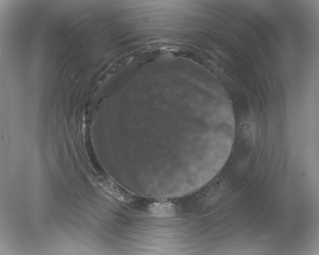 X0000078870271200612042006