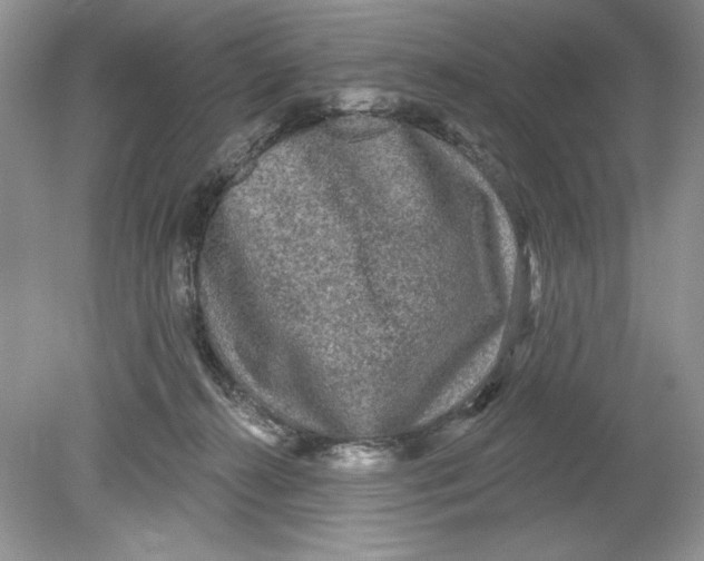 X0000078870272200612042006