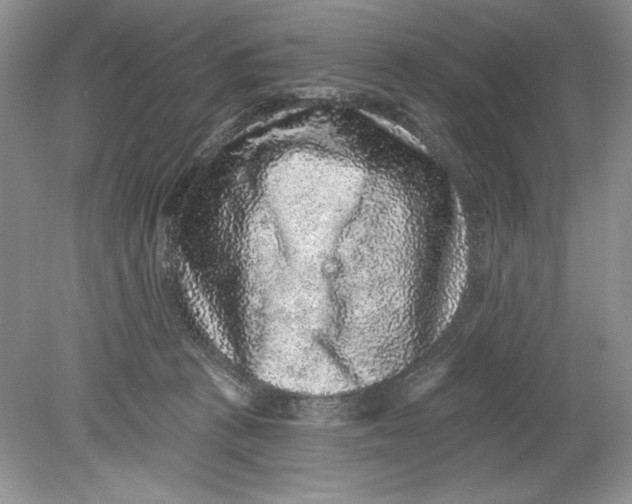 X0000078870273200612042006