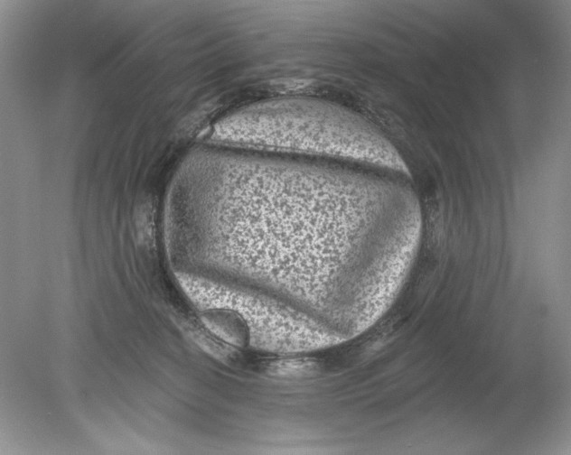 X0000078870274200612042006