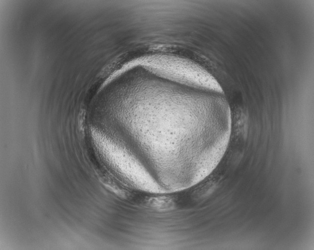 X0000078870275200612042006