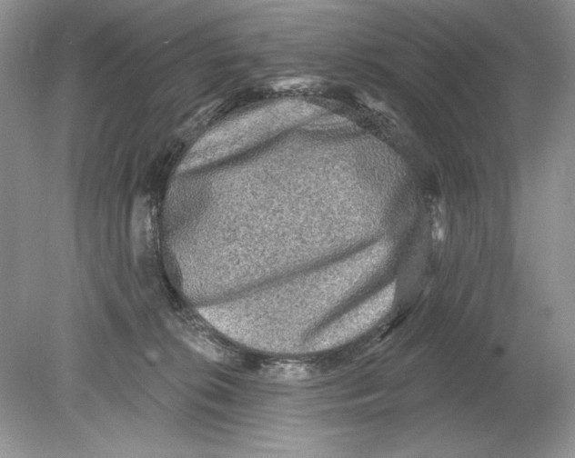 X0000078870276200612042006