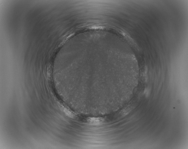 X0000078870277200612042006