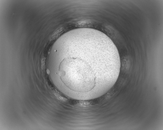 X0000078870278200612042006