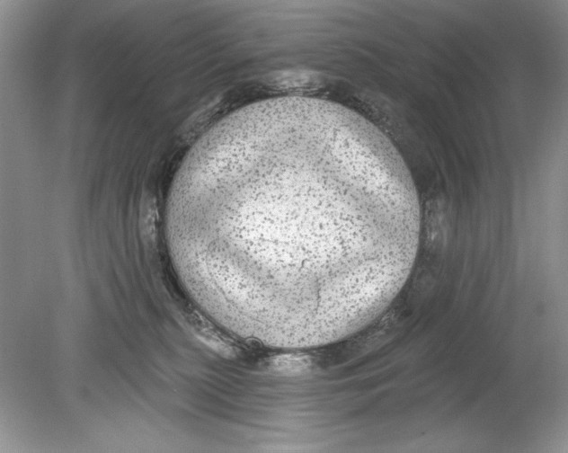 X0000078870279200612042006