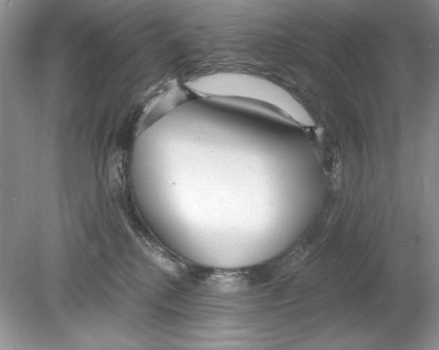 X0000078870280200612042006