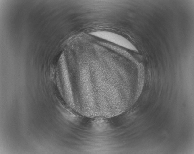 X0000078870281200612042006