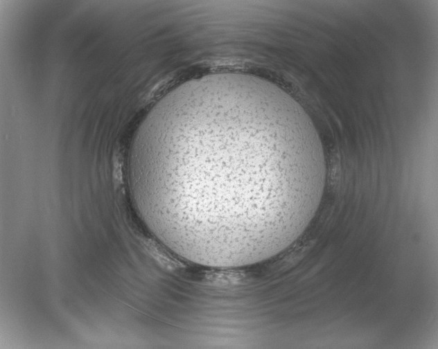 X0000078870282200612042006