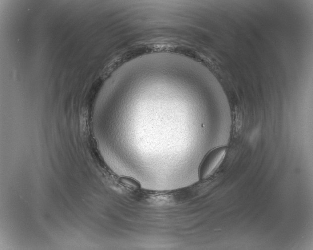 X0000078870283200612042006