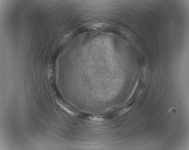 X0000078870284200612042006