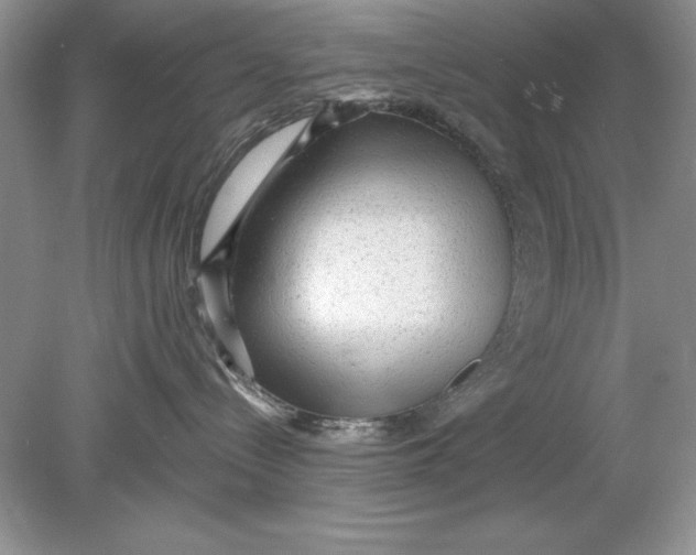 X0000078870288200612042006