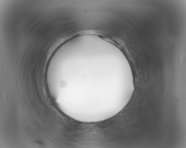 X0000078870289200612042005