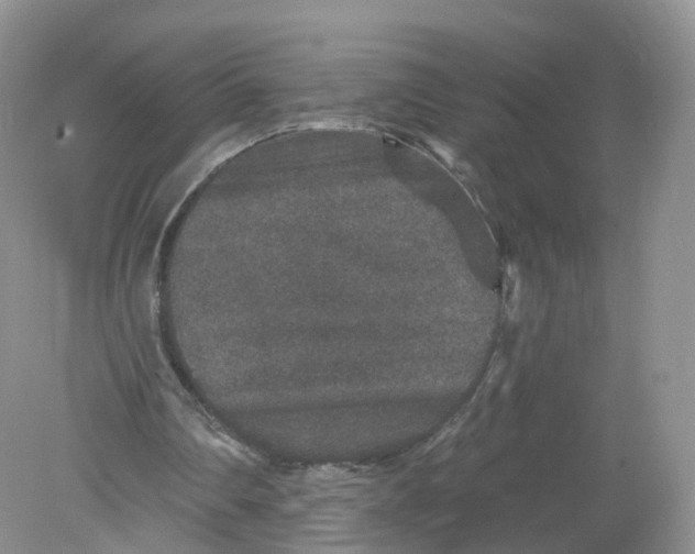 X0000078870290200612042005