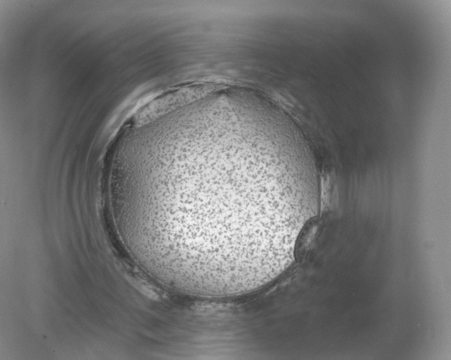 X0000078870291200612042005