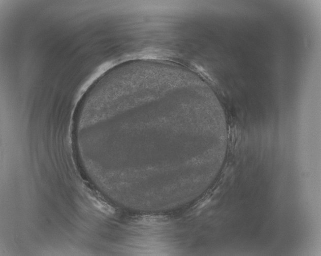 X0000078870292200612042005