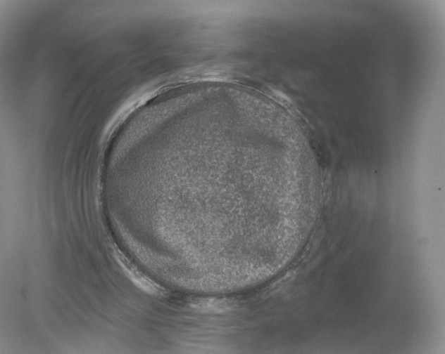 X0000078870293200612042005