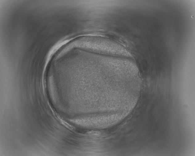 X0000078870294200612042005