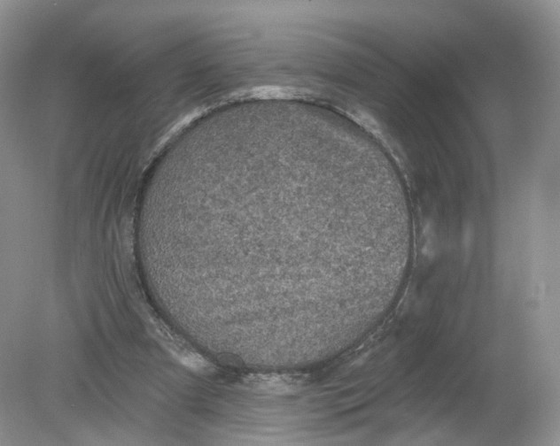 X0000078870297200612042005