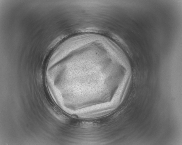 X0000078870298200612042005