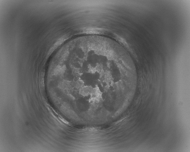 X0000078870299200612042005