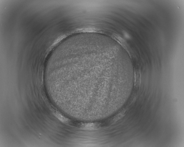 X0000078870301200612042005