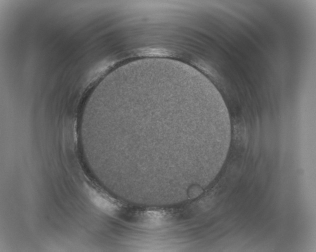 X0000078870302200612042005