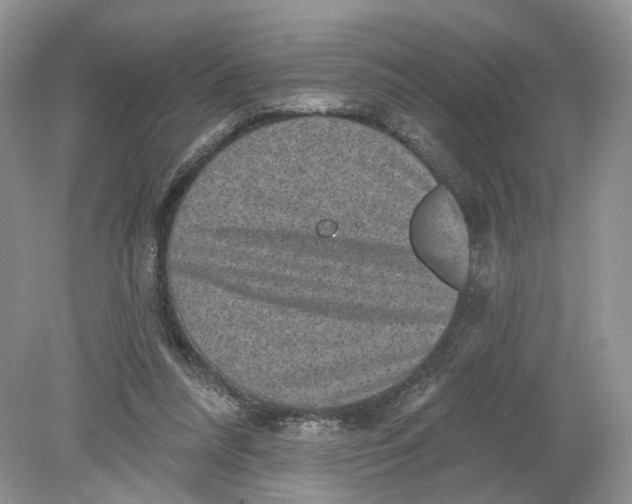 X0000078870304200612042005