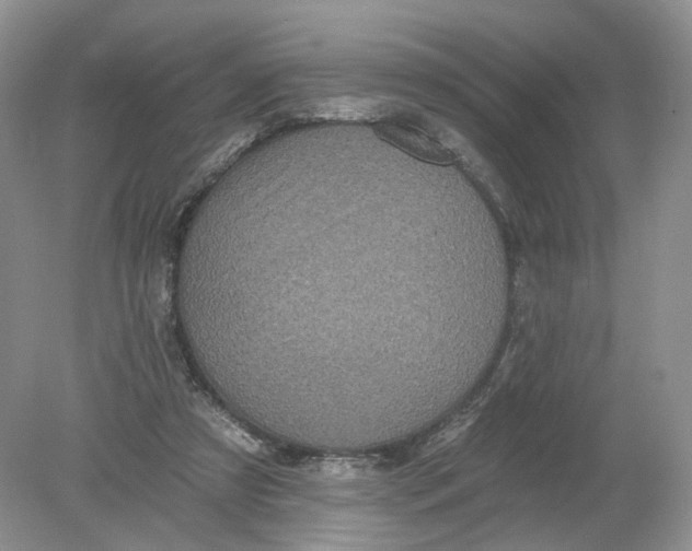 X0000078870305200612042005