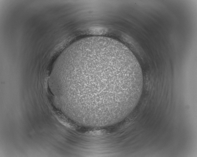 X0000078870307200612042005