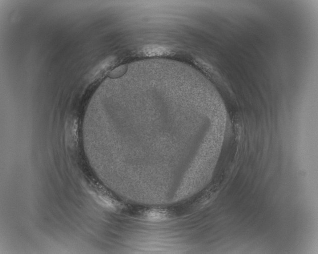 X0000078870308200612042005