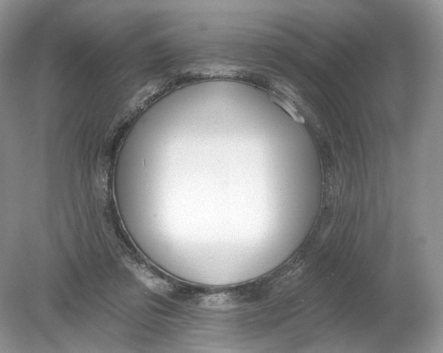 X0000078870309200612042005