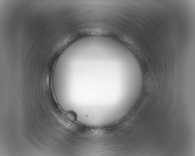 X0000078870310200612042005